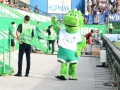 Spvgg-Greuther-Fuerth-vs-KSC038