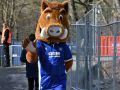 KSC-unentschieden-gegen-Schalke-04-im-BBBank-Wildpark003
