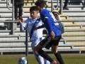 KSC-U19-besiegt-1-FC-Saarbruecken047