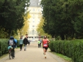 KSC-Schlossparklauf-2024020