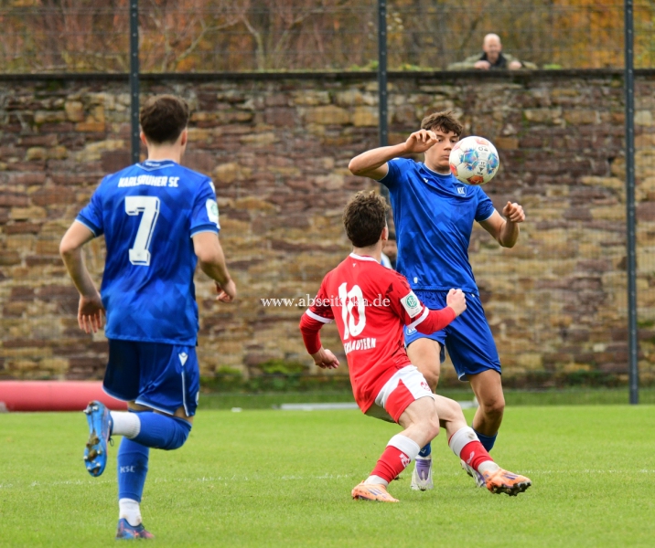 DSC_6213_0A-KSC-U17-Derby-gegen-Kaiserslautern22 DSC_6213_0A-KSC-U17-Derby-gegen-Kaiserslautern22