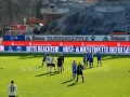 KSC-Zweitligaspiel-gegen-den-FC-St-Pauli004