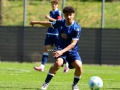 DSC_8260_0AKSC-U19-besiegt-Union-Berlin11